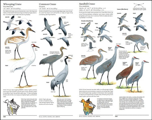North American Bird Guide, 2nd ed. - Sibley, D. 2014